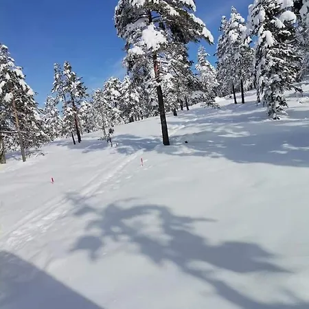 Milosavljevic Divčibare