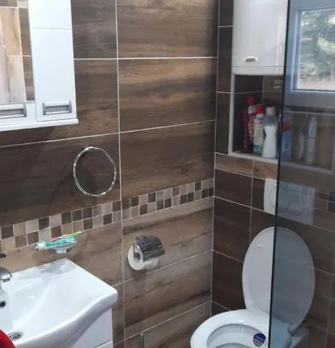 公寓 Milosavljevic Divčibare