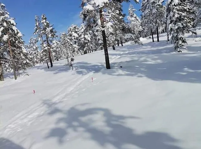 Milosavljevic Divčibare